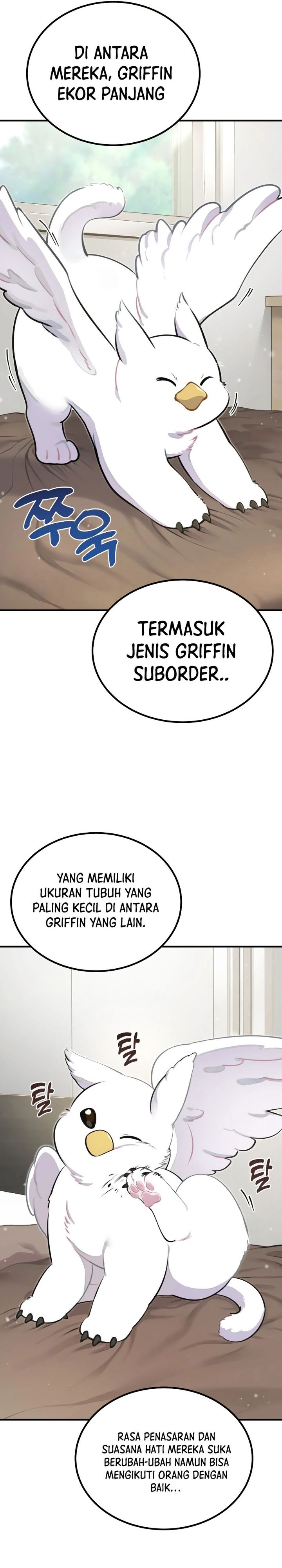 Hello, Fluffy Griffin! chapter 1