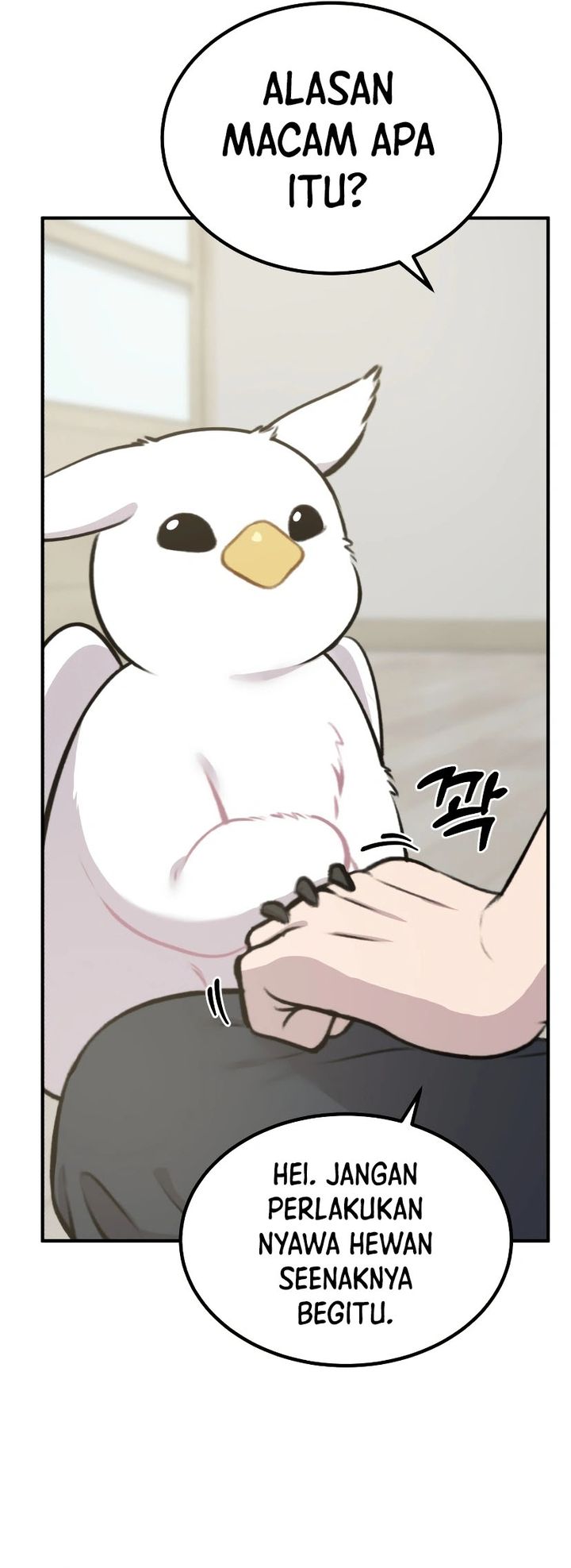 Hello, Fluffy Griffin! chapter 1