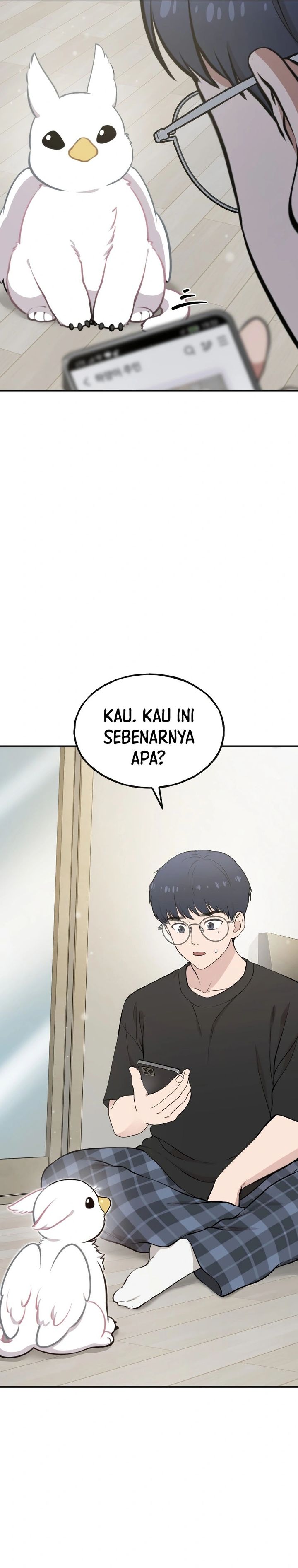 Hello, Fluffy Griffin! chapter 1