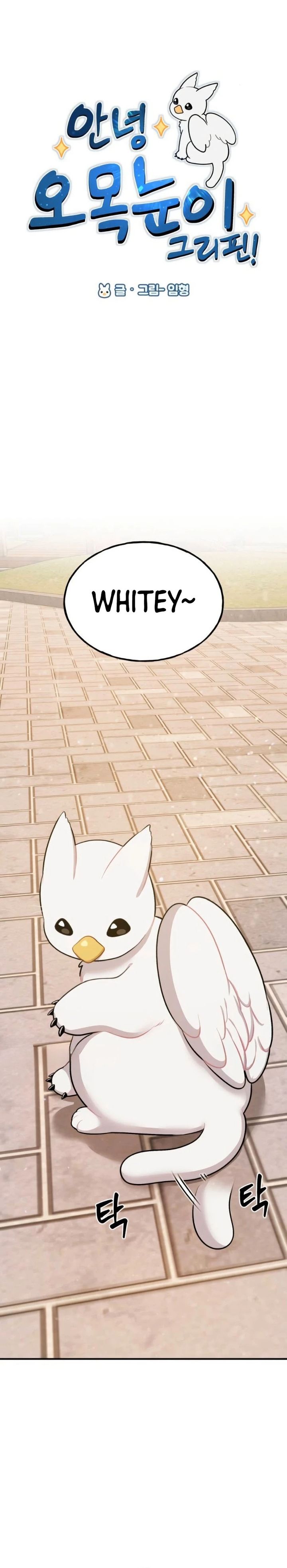 Hello, Fluffy Griffin! chapter 2