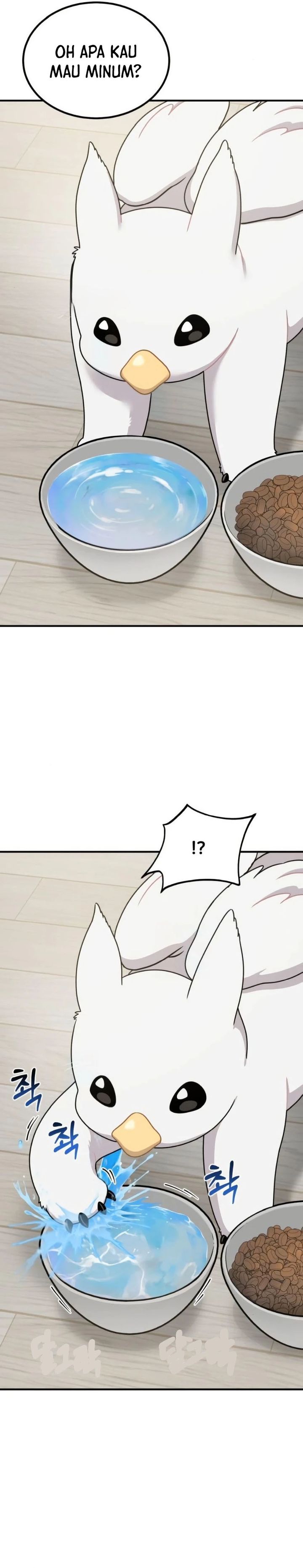 Hello, Fluffy Griffin! chapter 2