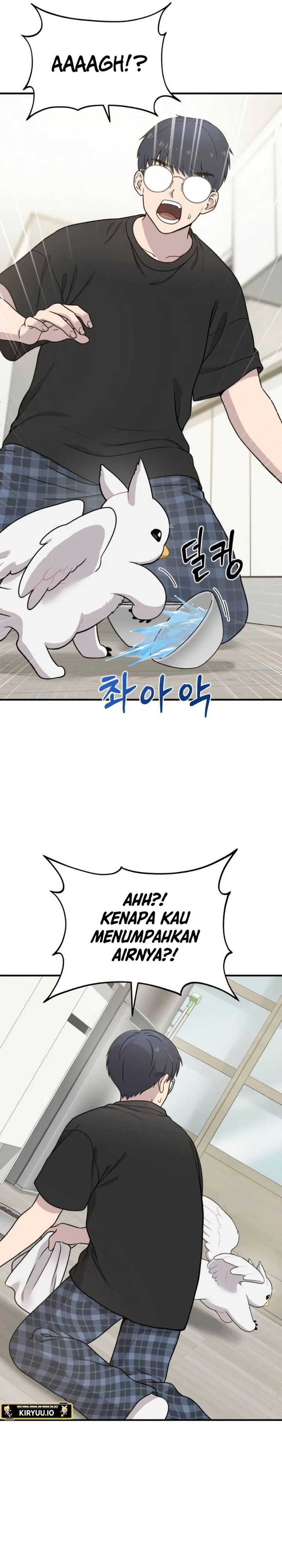 Hello, Fluffy Griffin! chapter 2