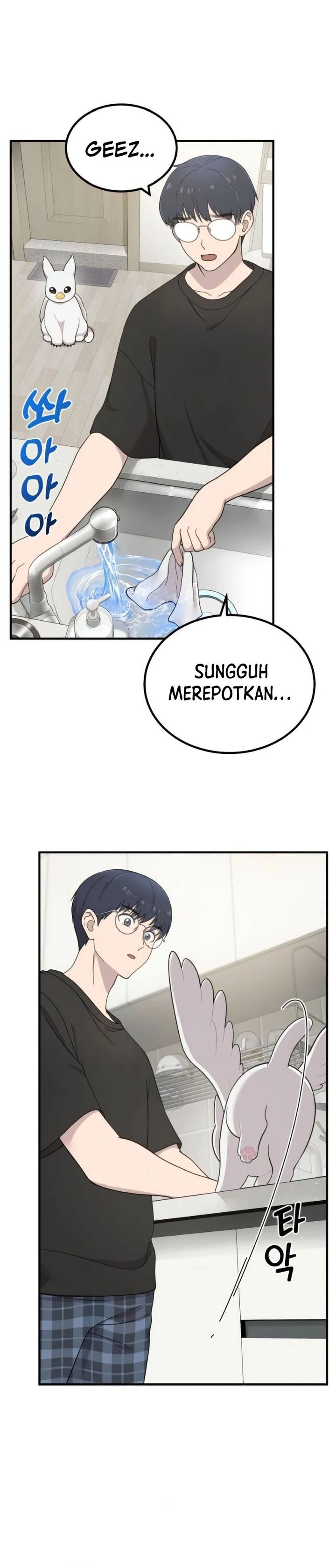 Hello, Fluffy Griffin! chapter 2