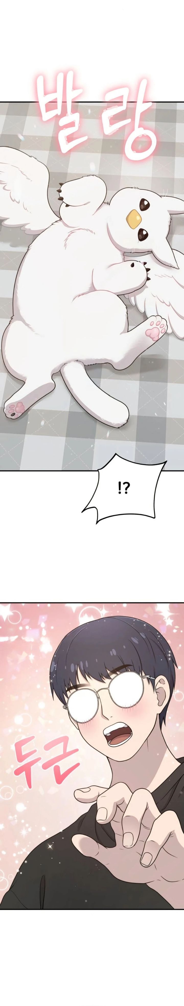 Hello, Fluffy Griffin! chapter 2