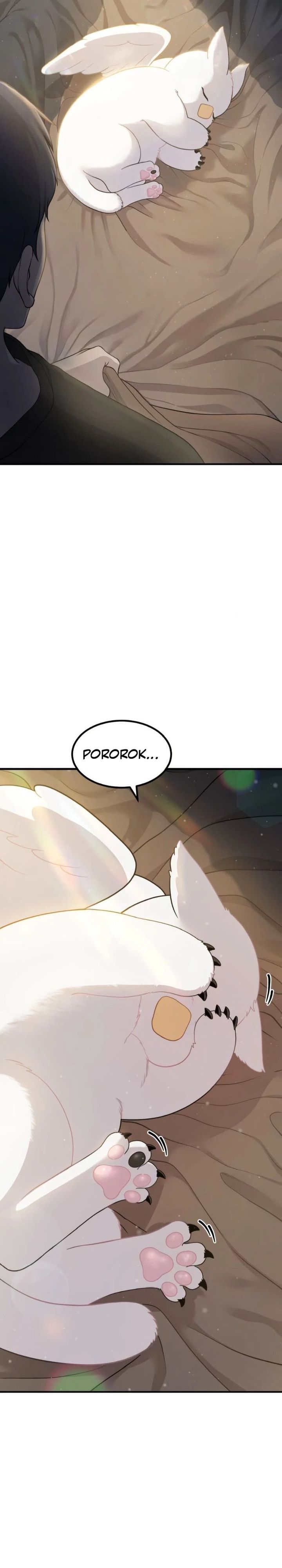 Hello, Fluffy Griffin! chapter 2