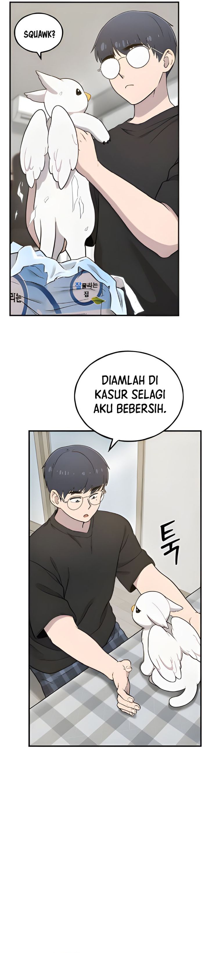 Hello, Fluffy Griffin! chapter 5
