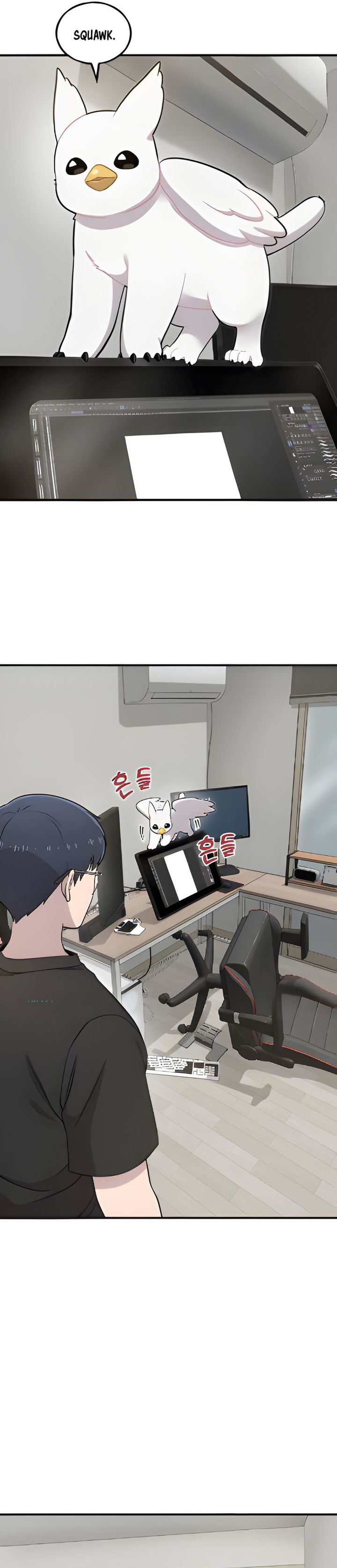 Hello, Fluffy Griffin! chapter 5