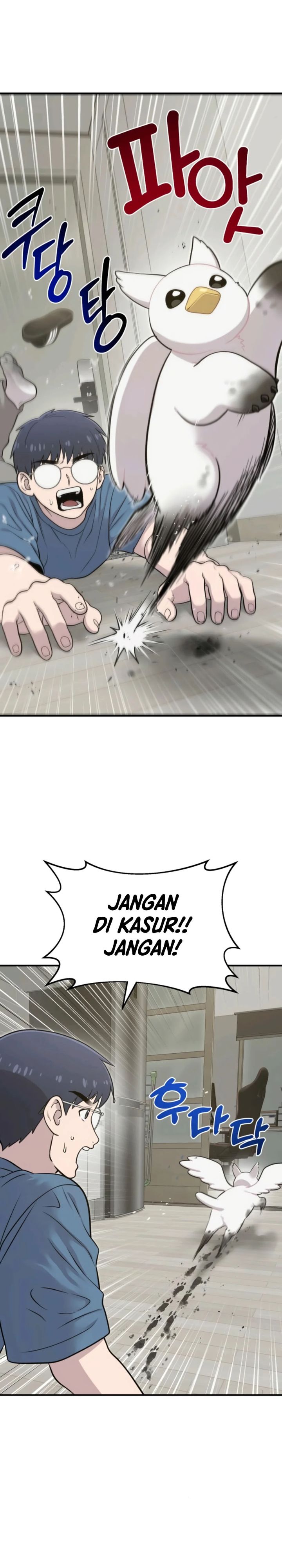 Hello, Fluffy Griffin! chapter 10