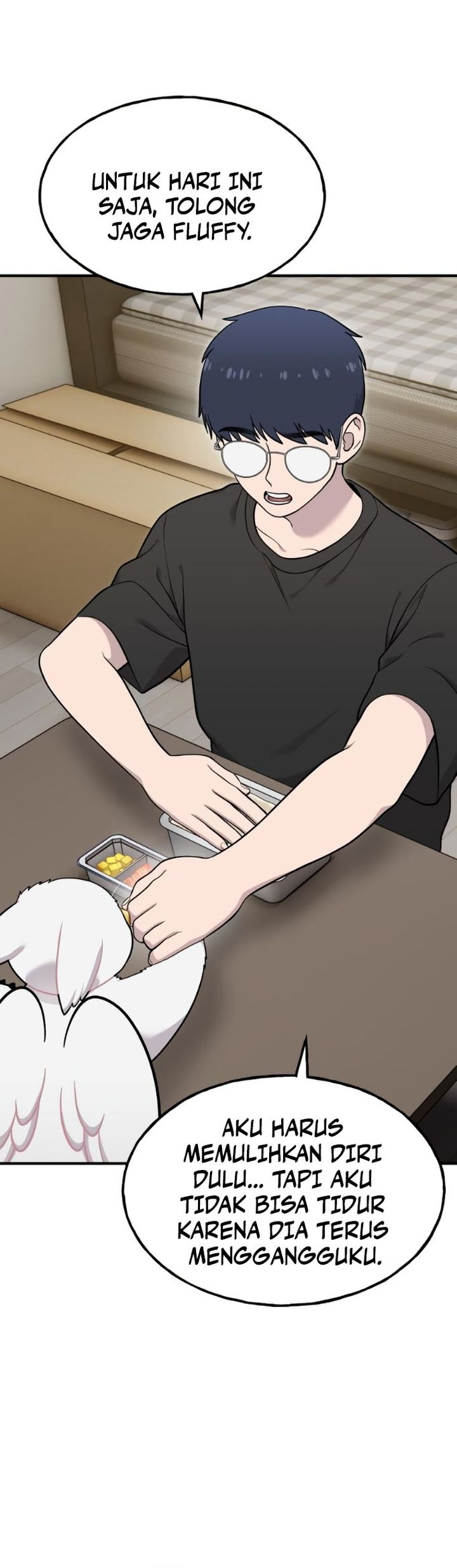 Hello, Fluffy Griffin! chapter 16