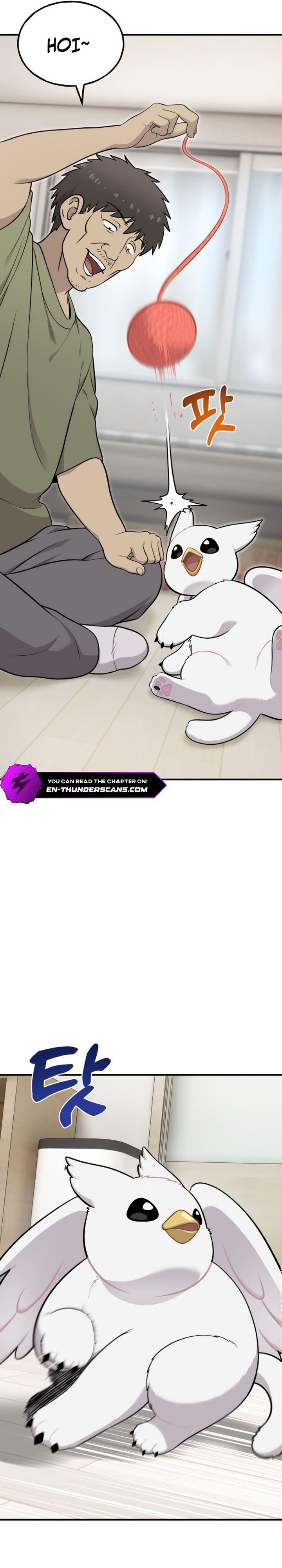 Hello, Fluffy Griffin! chapter 16