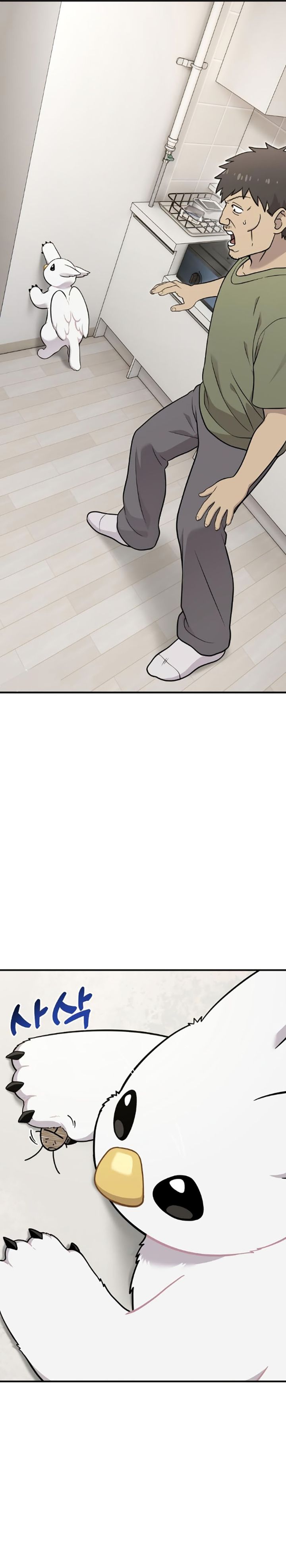 Hello, Fluffy Griffin! chapter 16