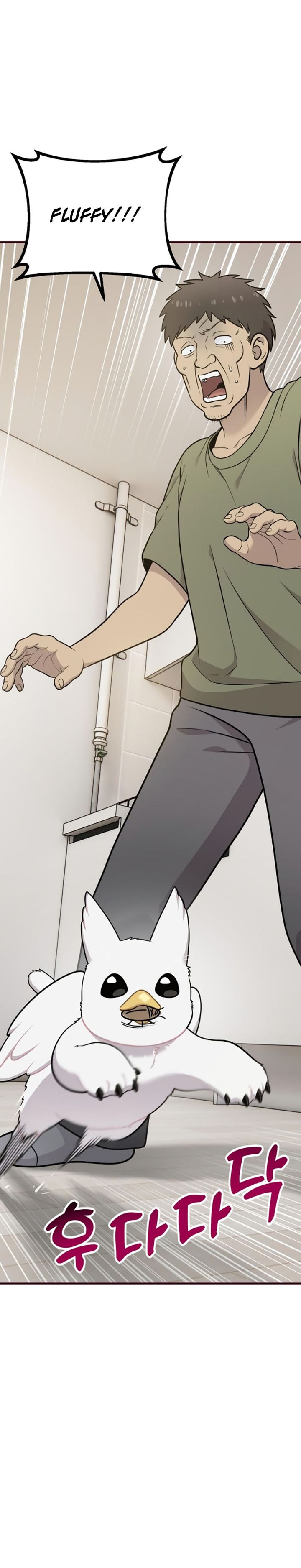 Hello, Fluffy Griffin! chapter 16