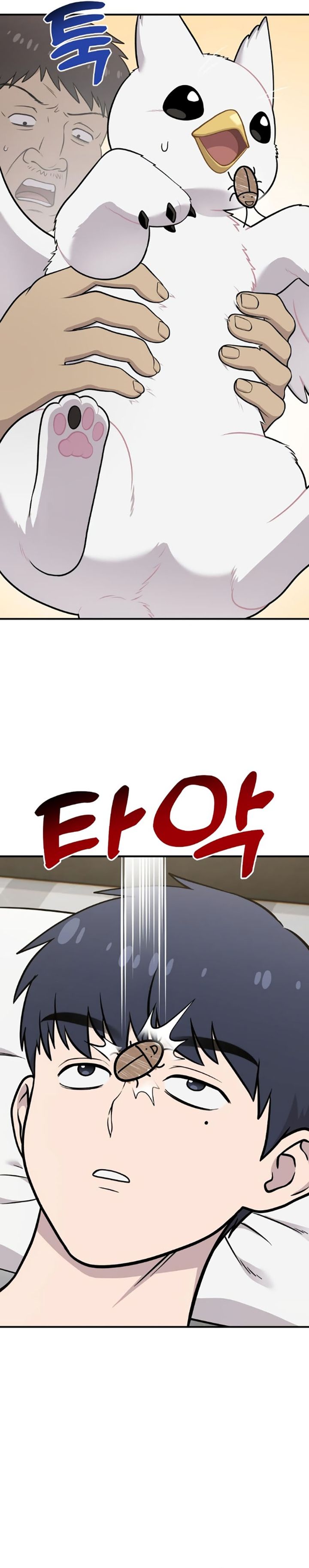 Hello, Fluffy Griffin! chapter 16