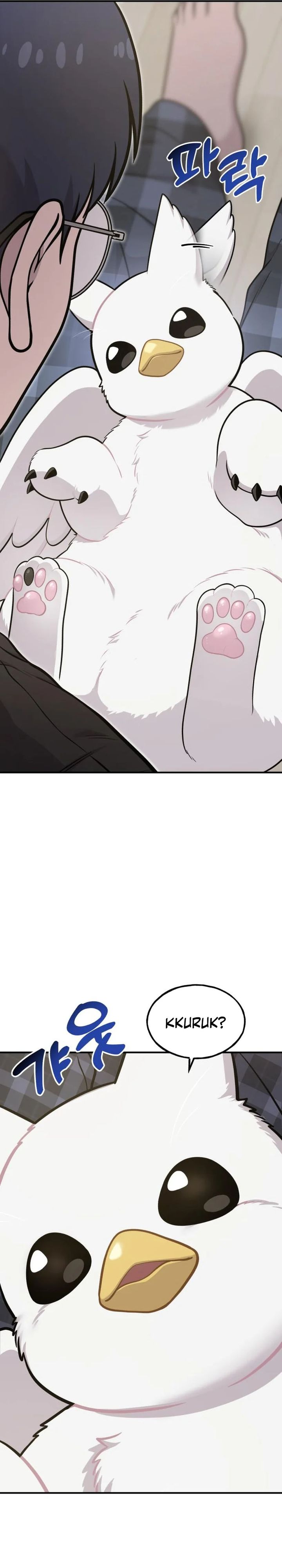 Hello, Fluffy Griffin! Chapter 17 Bahasa Indonesia