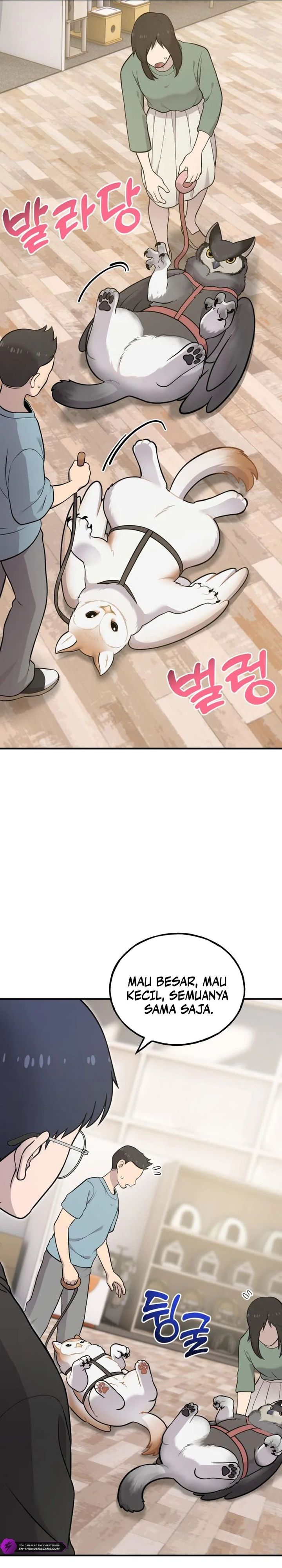 Hello, Fluffy Griffin! Chapter 17 Bahasa Indonesia