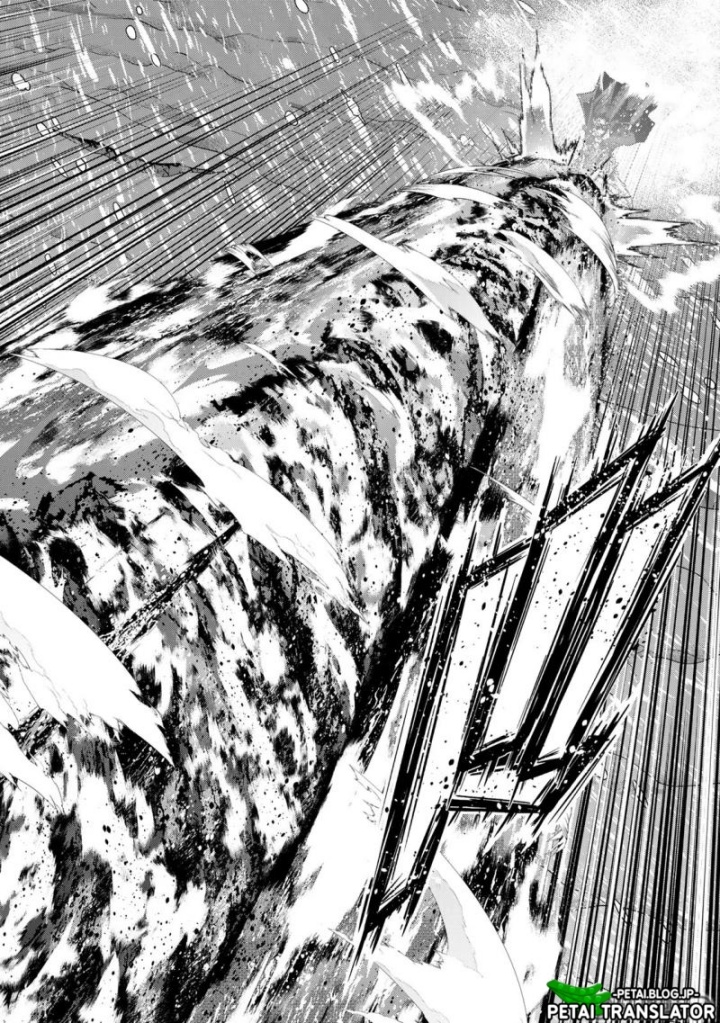 I Don’t Really Get It but It Looks Like I Was Reincarnated in Another World (Yoku Wakaranai keredo Isekai ni Tensei Shiteita You Desu) chapter 79