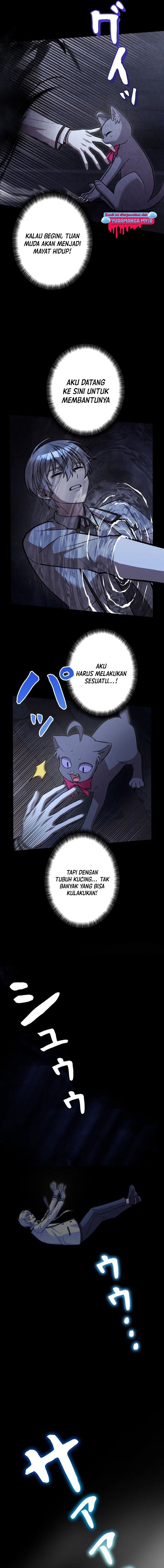 Im the Hero but the Main Heroines Are Trying to Kill Me chapter 15