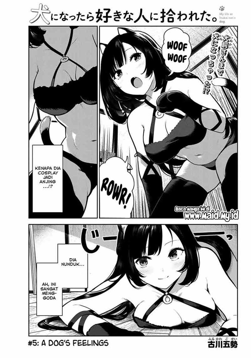 Inu ni Nattara Suki na Hito ni Hirowareta chapter 5