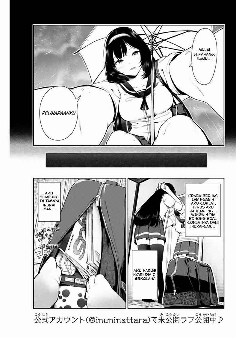 Inu ni Nattara Suki na Hito ni Hirowareta chapter 11
