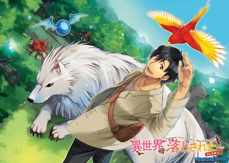 Isekai ni Otosareta… Jouka wa Kihon! chapter 1