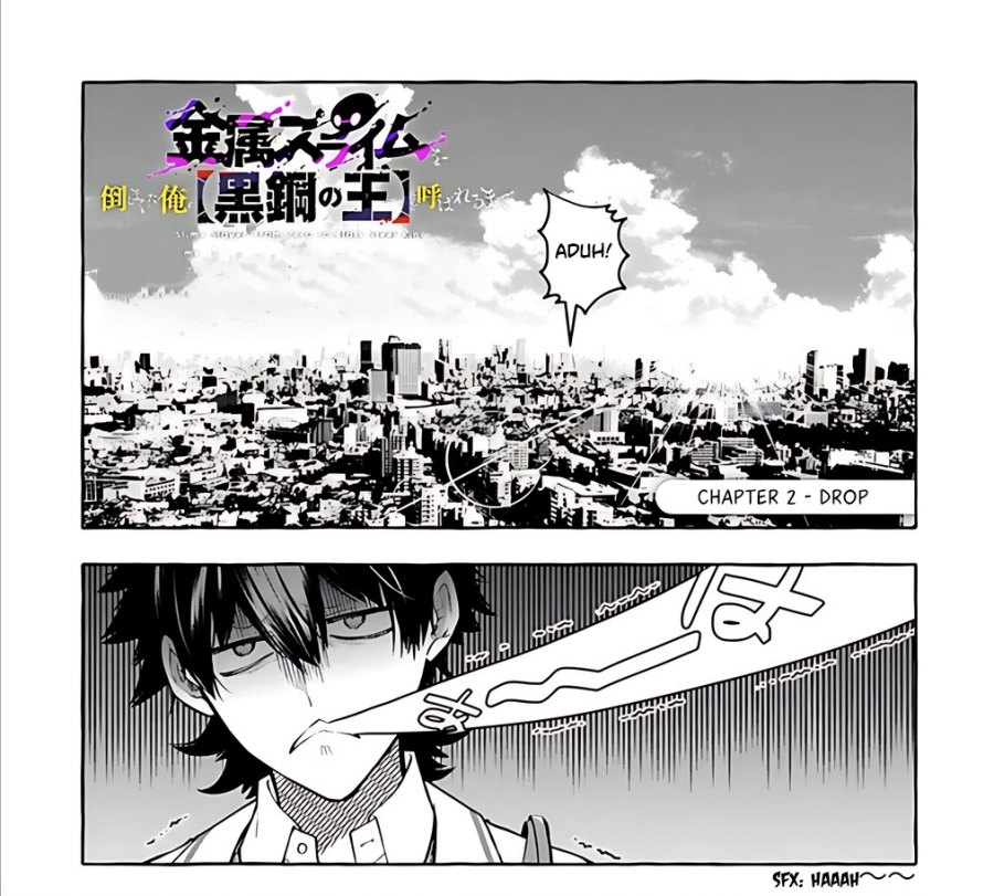 Kinzoku Slime wo Taoshi Makutta Ore ga “Kurokou no Ou” to Yobareru Made chapter 2