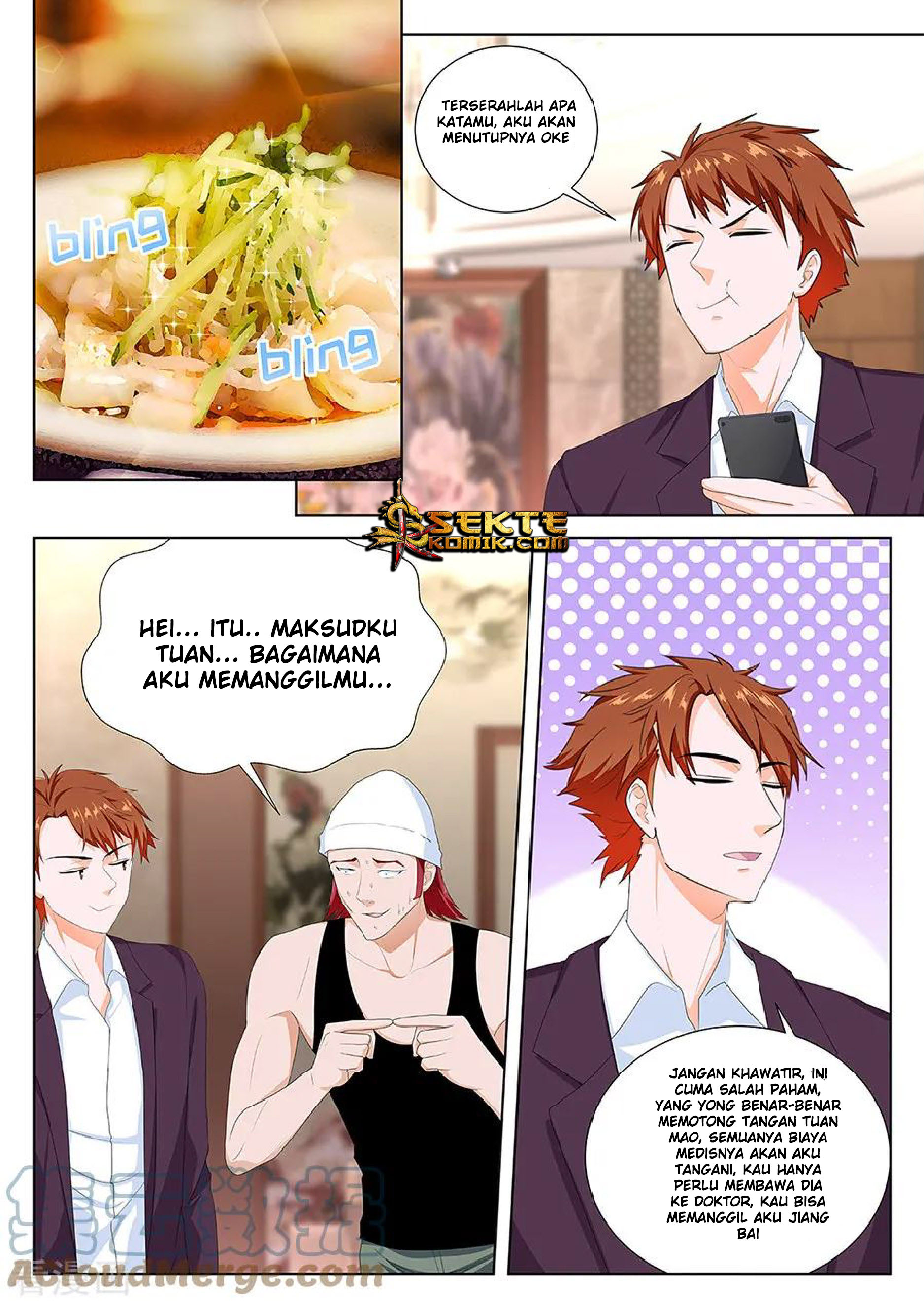 Metropolitan System chapter 117