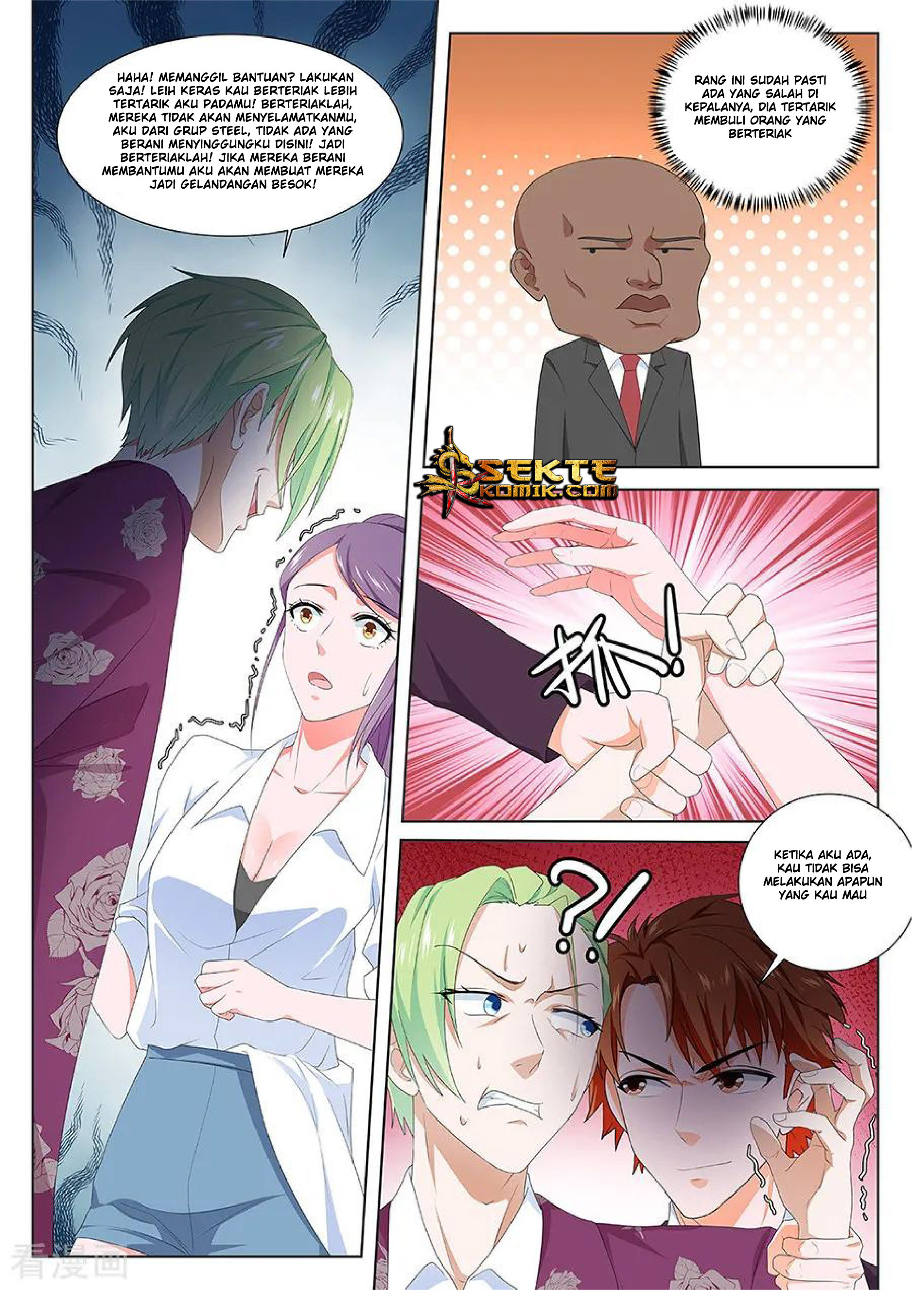 Metropolitan System chapter 117