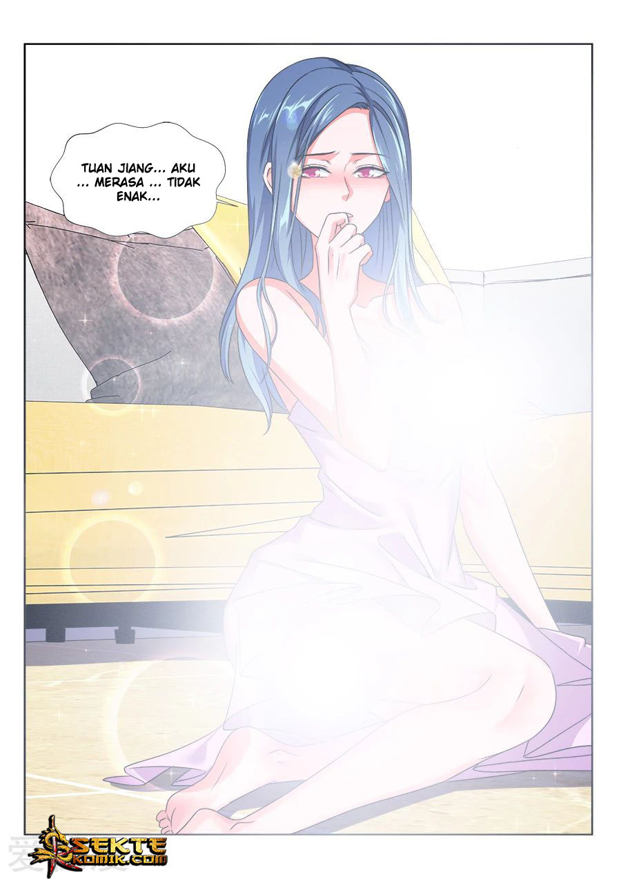 Metropolitan System chapter 205