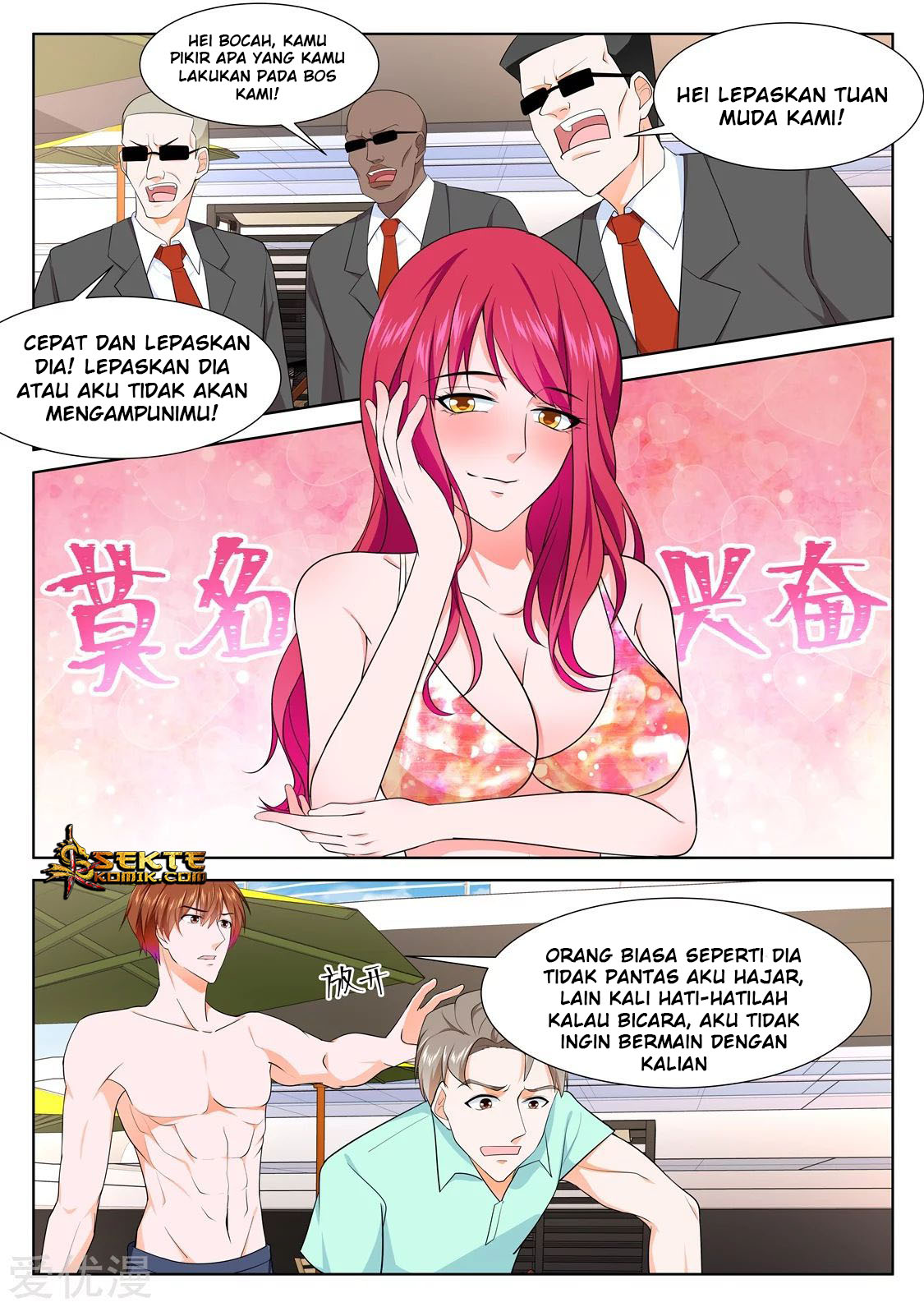 Metropolitan System chapter 251