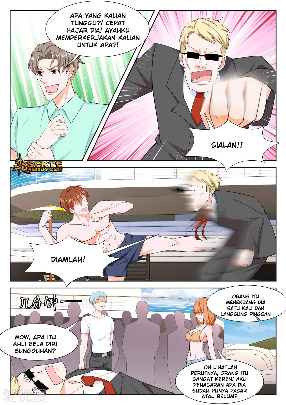 Metropolitan System chapter 251