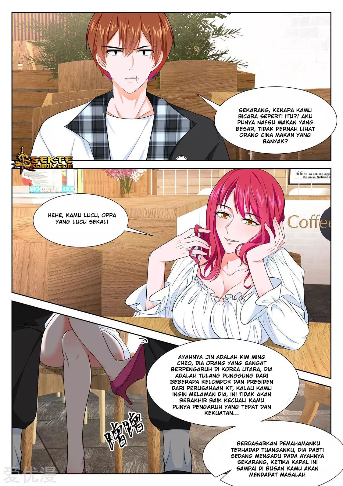Metropolitan System chapter 251