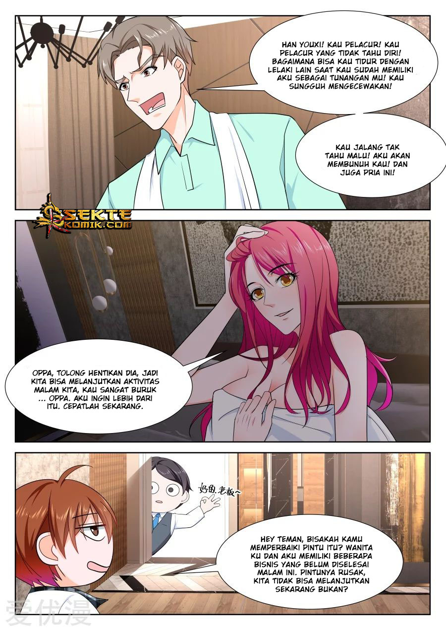 Metropolitan System chapter 253