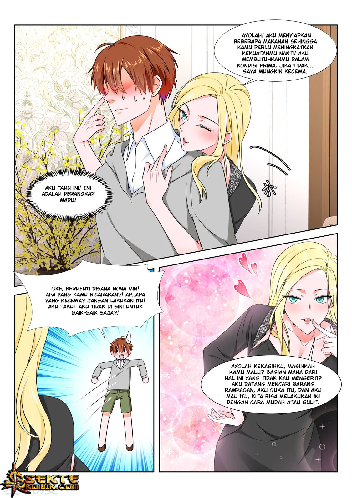 Metropolitan System chapter 271