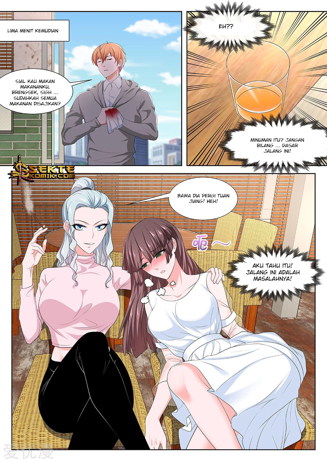 Metropolitan System chapter 274