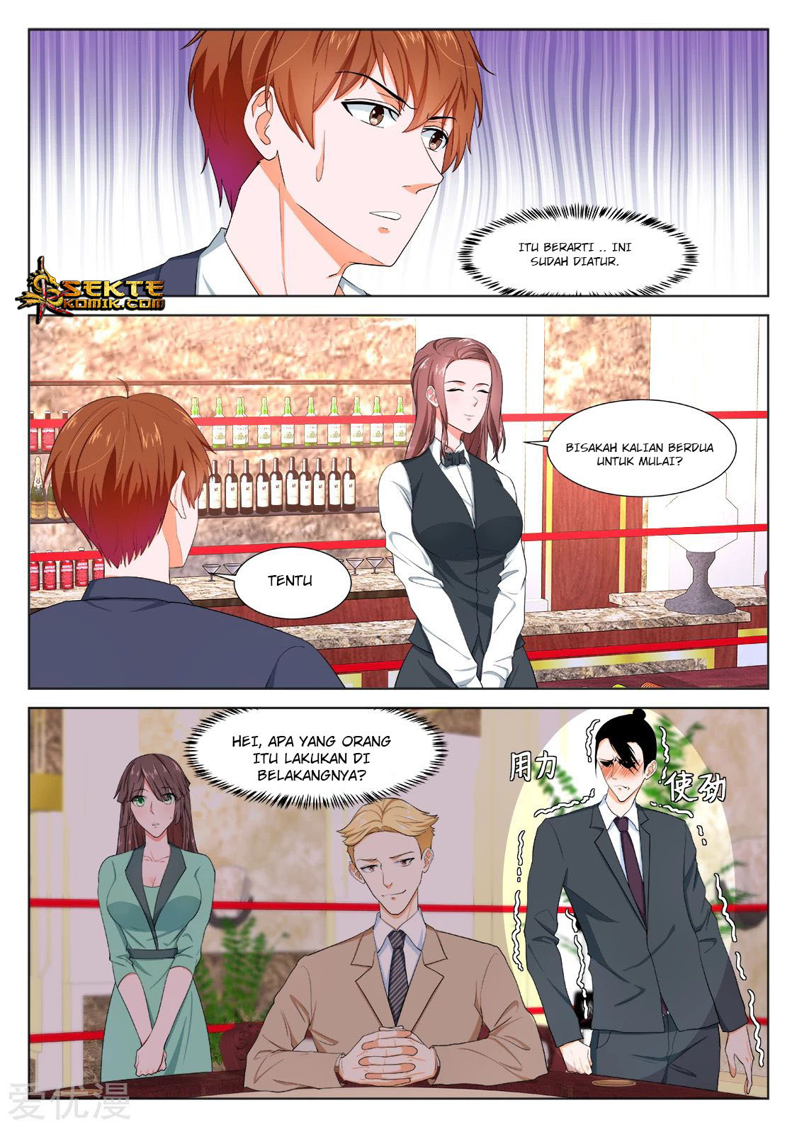 Metropolitan System chapter 282