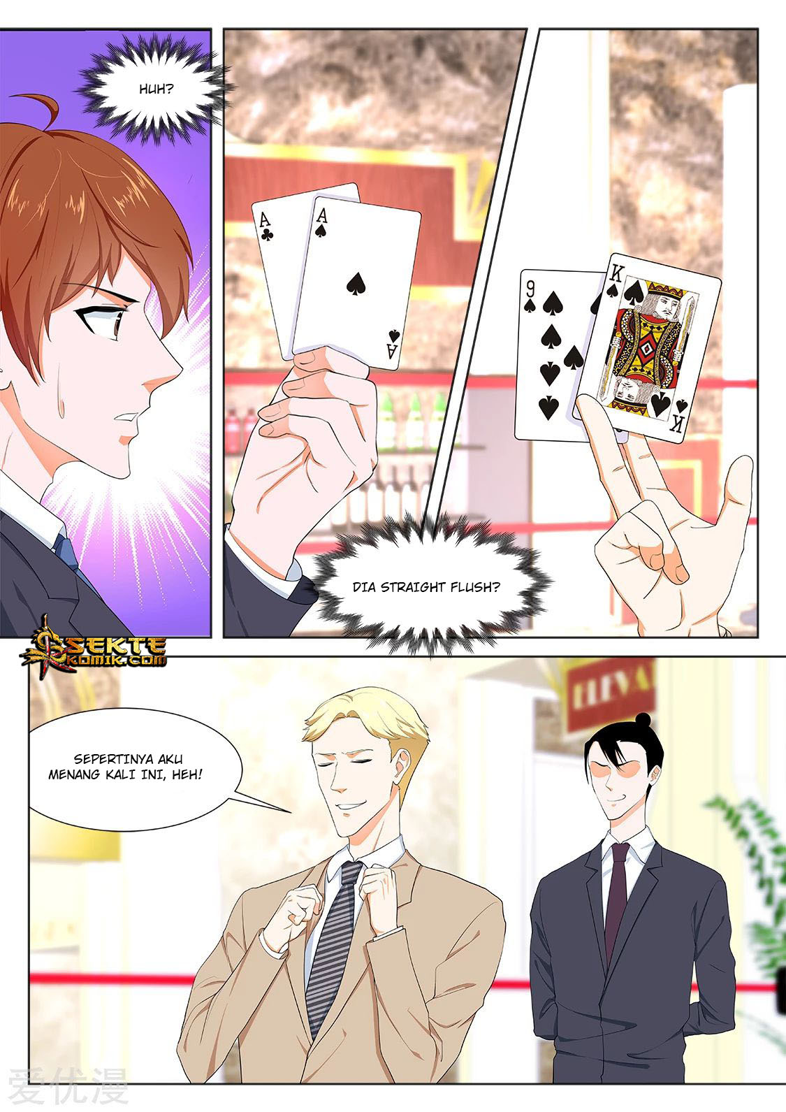 Metropolitan System chapter 282