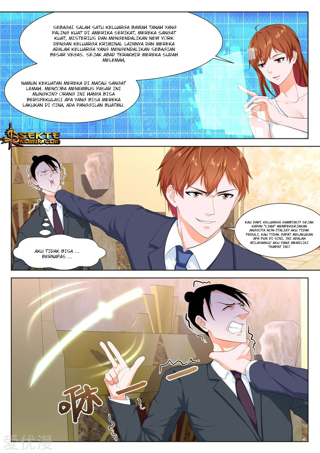 Metropolitan System chapter 282