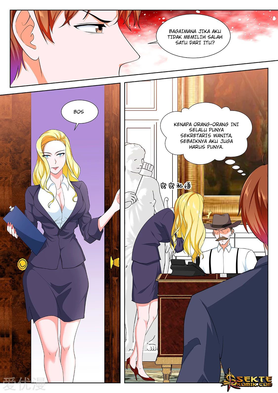 Metropolitan System chapter 284