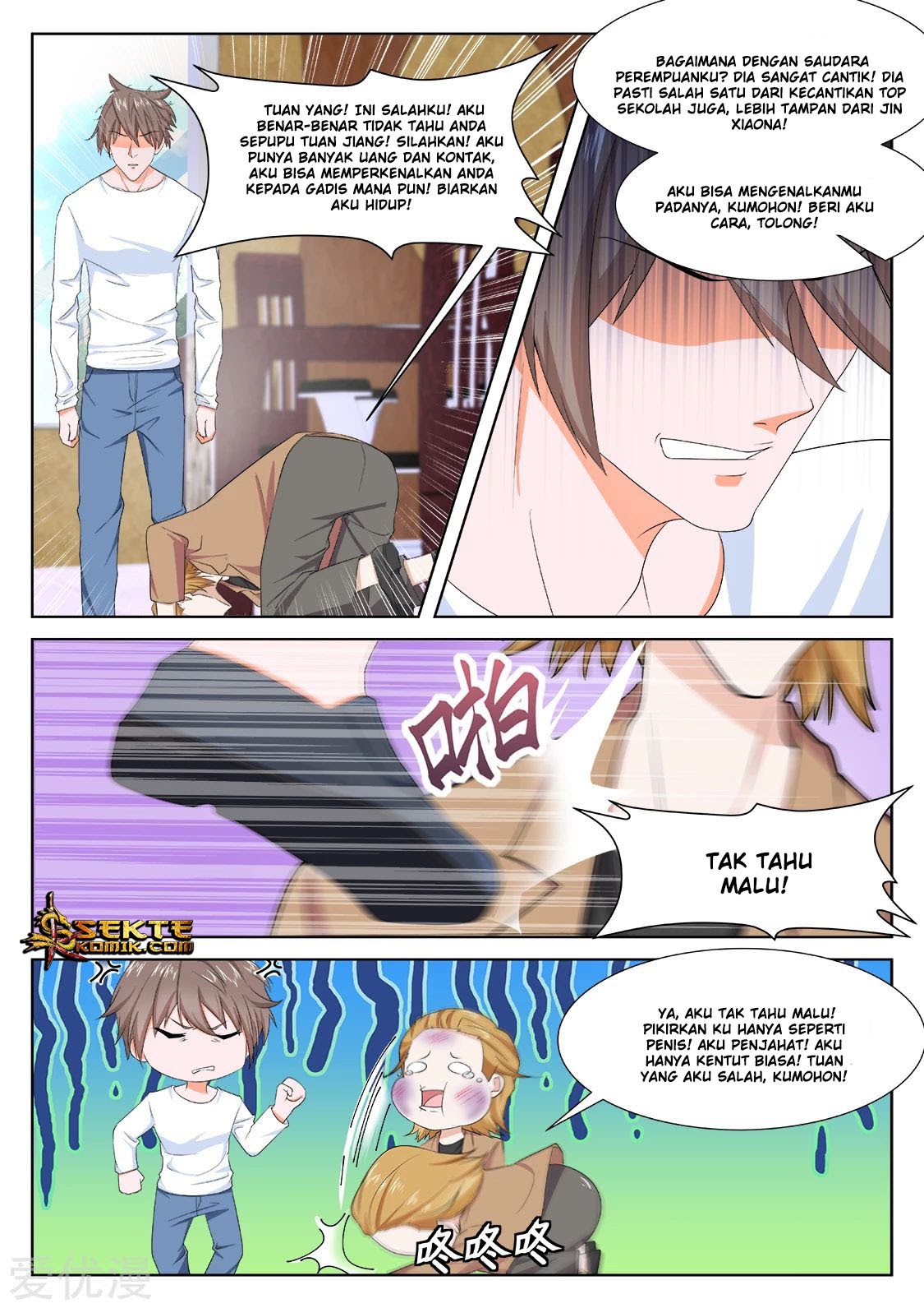 Metropolitan System chapter 303