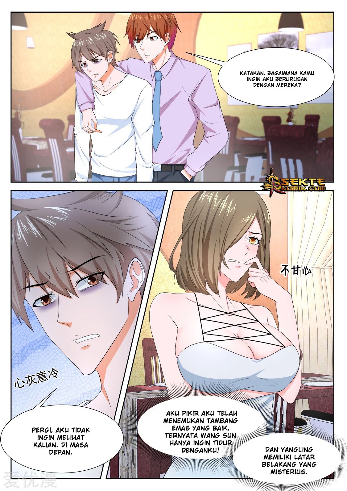 Metropolitan System chapter 303
