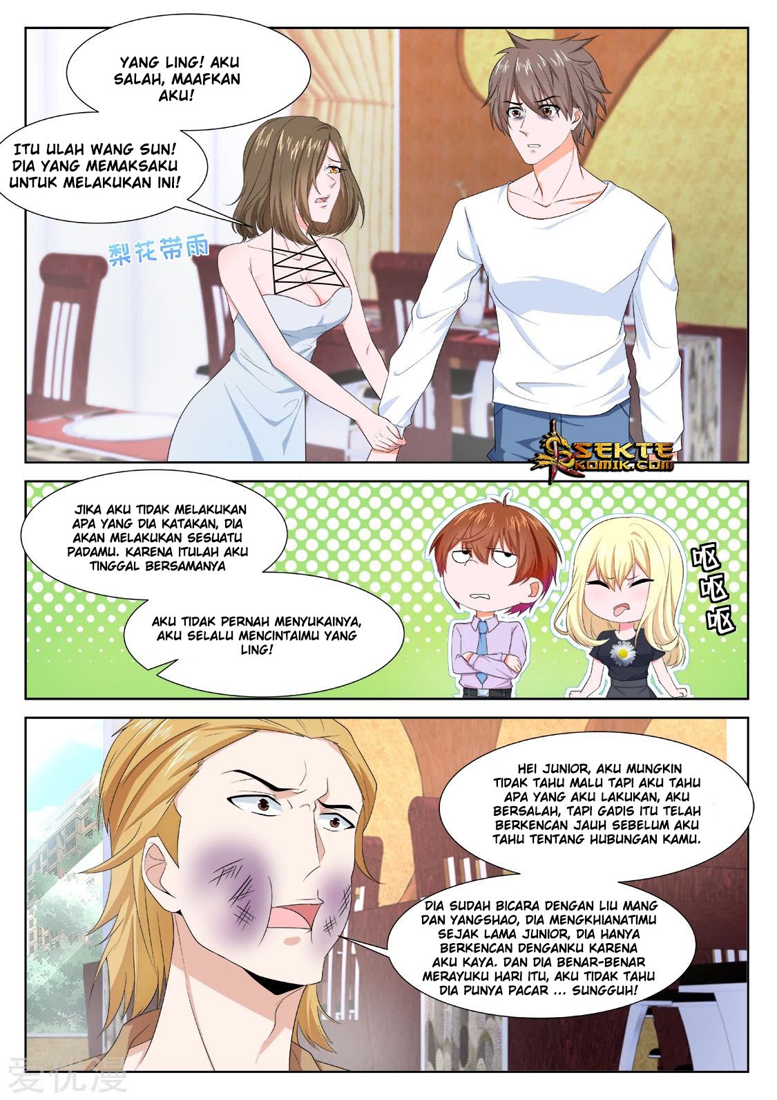 Metropolitan System chapter 303