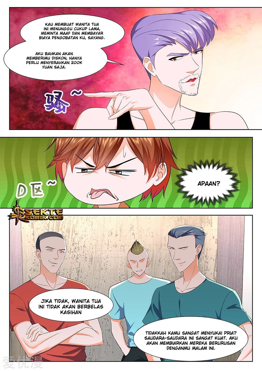 Metropolitan System chapter 312