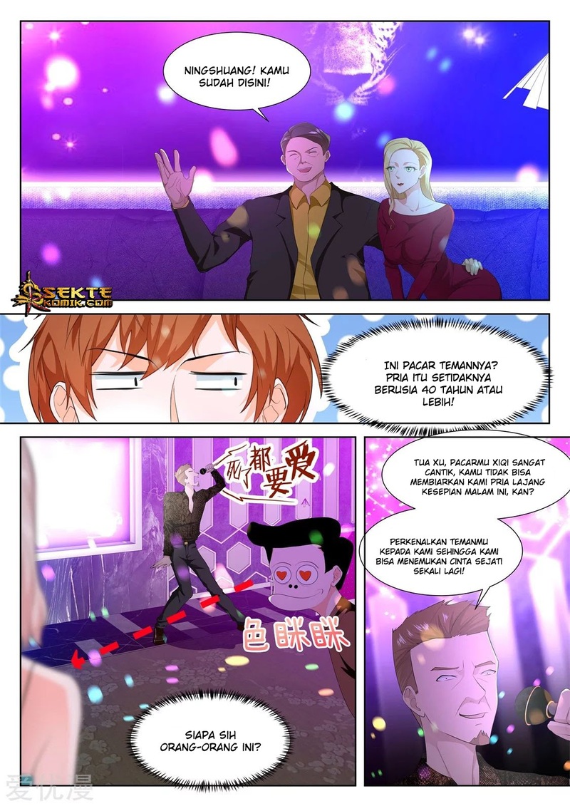 Metropolitan System chapter 313