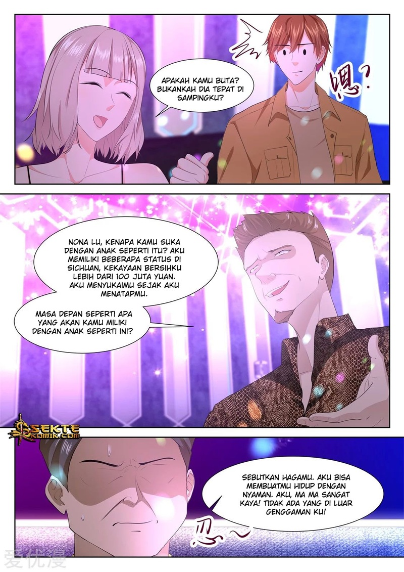 Metropolitan System chapter 313