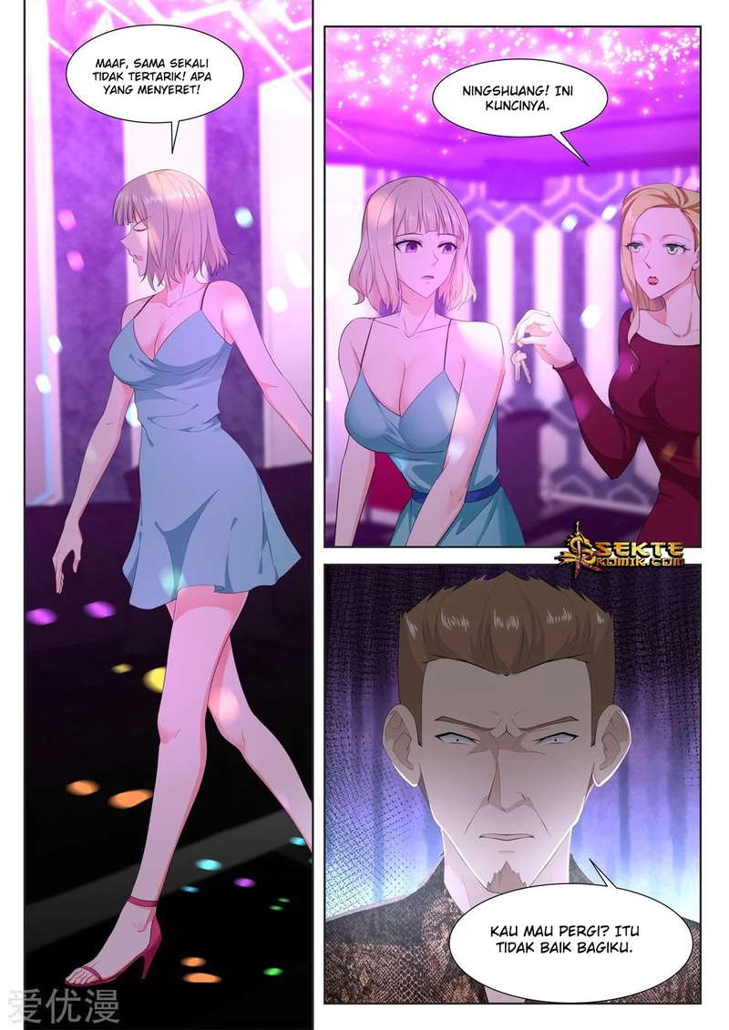 Metropolitan System chapter 313