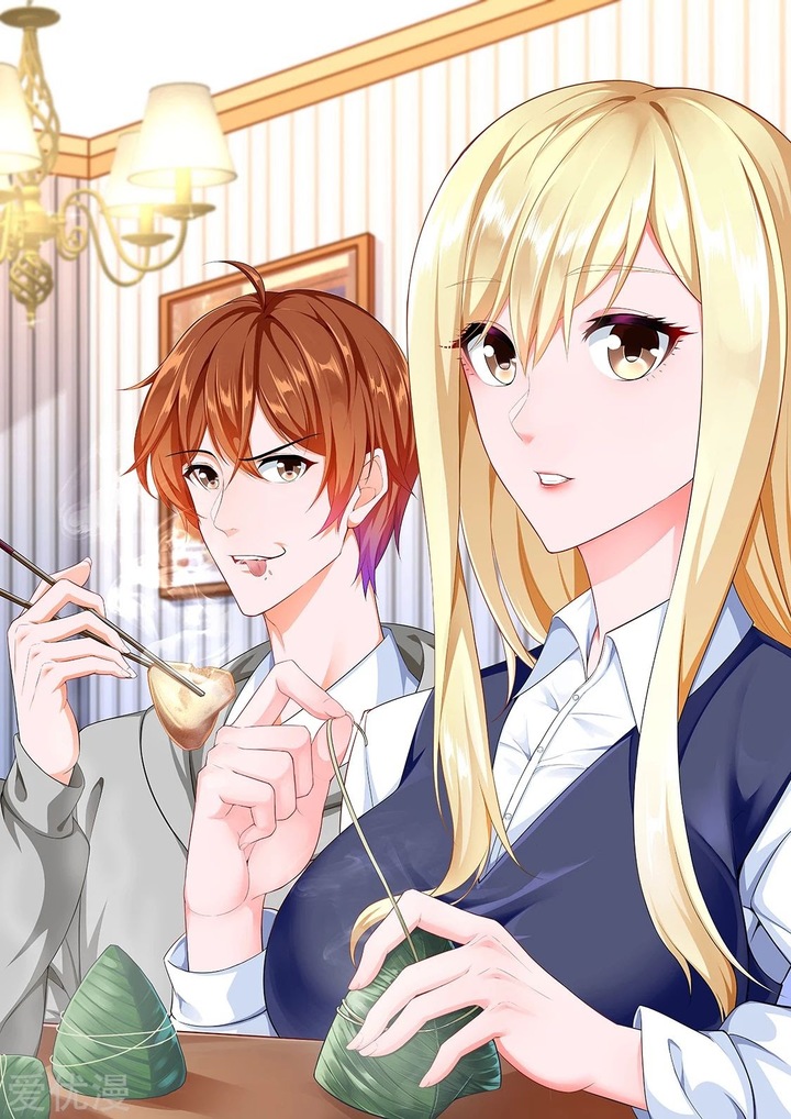 Metropolitan System chapter 317