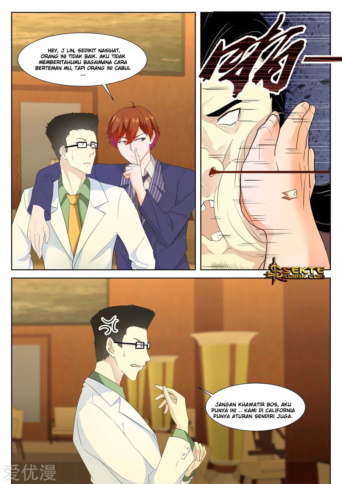 Metropolitan System chapter 337