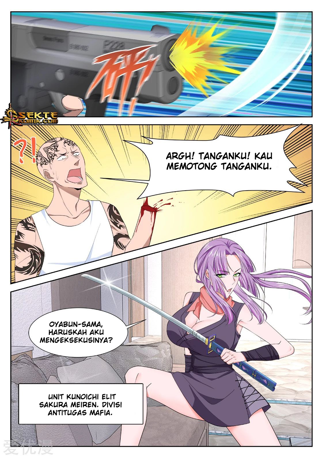 Metropolitan System chapter 343