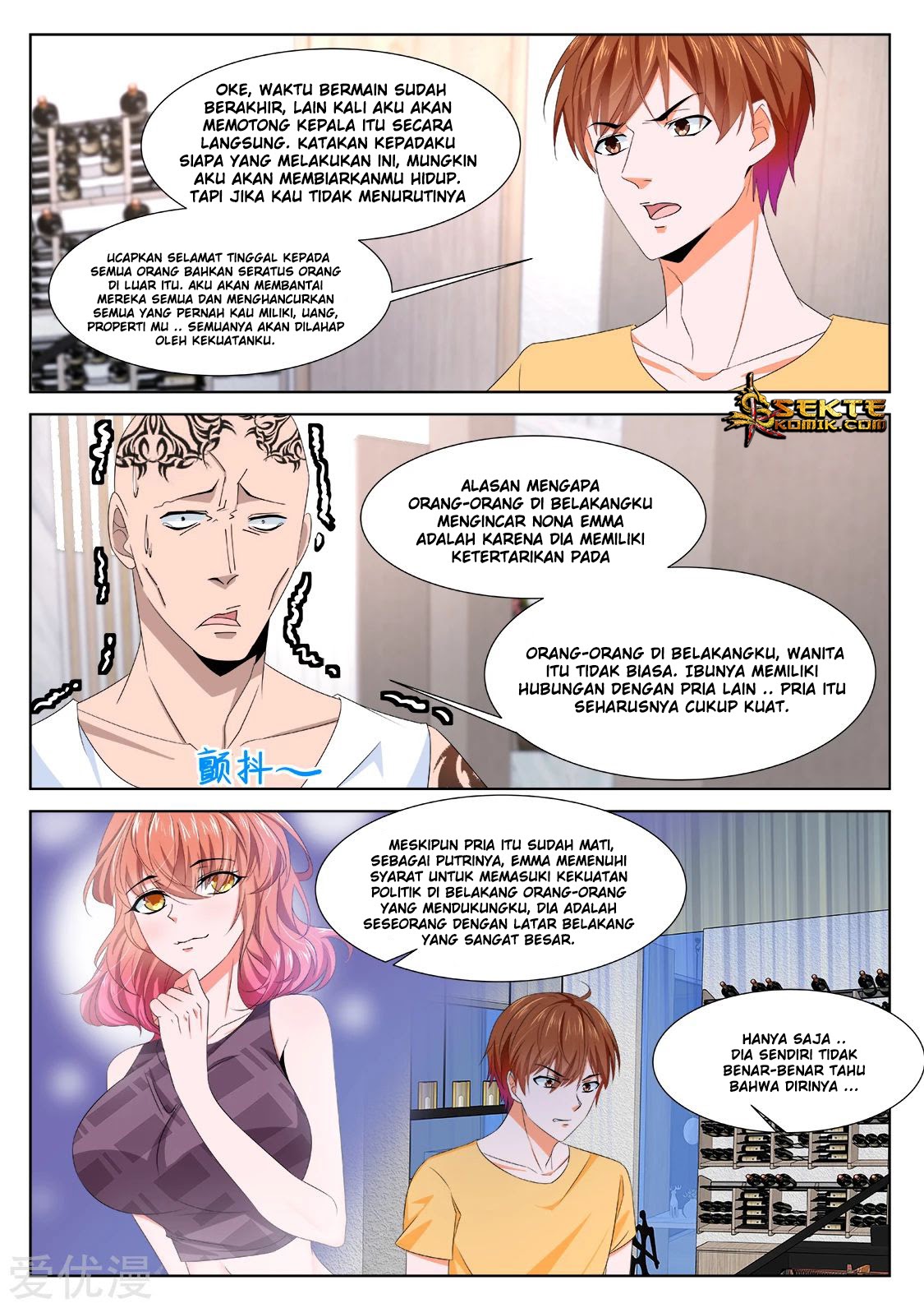 Metropolitan System chapter 343