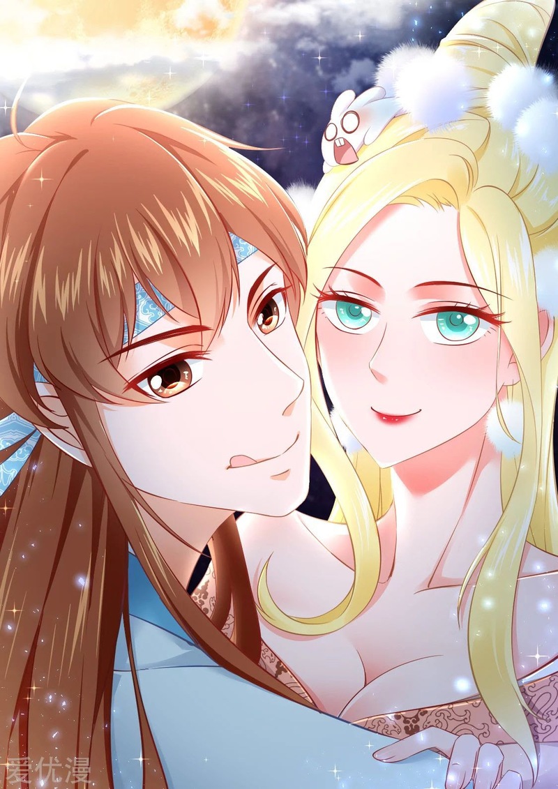 Metropolitan System chapter 353